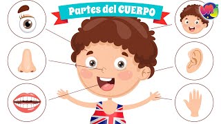 PARTES del CUERPO en INGLÉS 👄 👀 🖐 Aprende Inglés para niños 🌈 [upl. by Luapleahcim361]