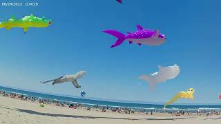 Lincoln City Summer Kite Festival Saturday [upl. by Eissim366]