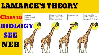 lamarckism theory of evolution  Nepali Biology Science [upl. by Zeugirdor]