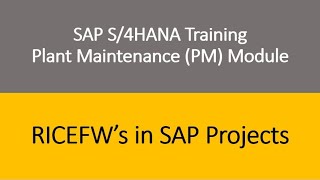 Video 36  SAP S4 HANA Plant Maintenance PM Training  RICEFWs in SAP Projects [upl. by Noitsuj]