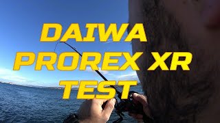 DAIWA PROREX XR  DAIWA TATULA TYPE R é‡£ç«¿ daiwa prorex [upl. by Halimak]