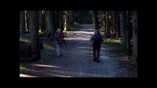 Hiking tour Zwiesel Bavaria [upl. by Landau]