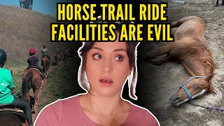 I was right about horse trail riding facilities [upl. by Nirra]