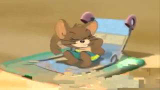 Tom si Jerry pe muzica ep 1 [upl. by Pinter944]