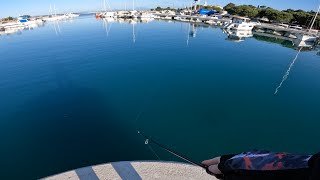 Adriatic Sea Cikvenica fishing in spring on topwater and minnow lures [upl. by Eelirak]