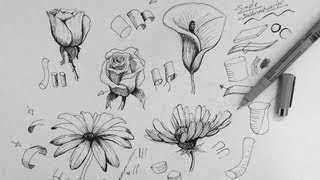 Pen amp Ink Drawing Tutorial  How to draw flowers part 1 [upl. by Waylon]