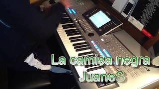 La camisa negra  Juanes  tyros 4  Cover Turtle [upl. by Cudlip]