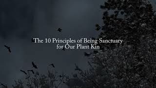 Teachings from Our Plant Kin The 10 Principles of Being Sanctuary [upl. by Ezechiel]