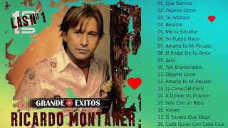 Ricardo Montaner Mix Mejores Éxitos [upl. by Gabi]