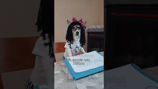 Cruciverba😎😂 jackrussell indovinelli merybijouesciarpina comedy Cruciverbi [upl. by Zenda]