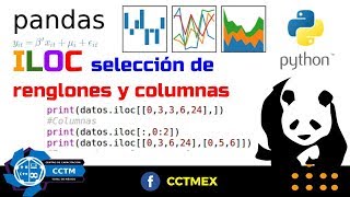 Pandas desde cero Python ¿Cómo seleccionar renglones y columnas de un archivo CSV Muy Básico [upl. by Joellyn374]