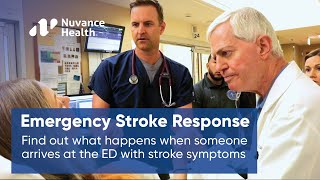 Time is Brain Stroke Treatment from Emergency Care to Recovery [upl. by Galatia127]