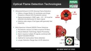 Overview of Flame and Gas Detection [upl. by Eirahcaz619]