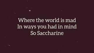 Saccharine Lyric Video [upl. by Ihteerp]