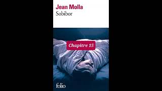 15  Sobibor  livre audio  Chapitre 15  Jean Molla  lecture et résumé [upl. by Eseenaj]