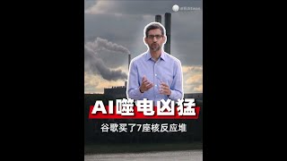 AI噬电凶猛 谷歌买了7座核反应堆 [upl. by Henson]