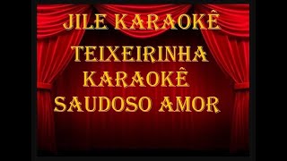 TEIXEIRINHA KARAOKÊ SAUDOSO AMOR [upl. by Merete]