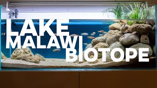 Lake Malawi bitope aquarium  Coastal Zone at Mbenji Island [upl. by Ahsercel]