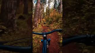 Fall Riding in the Oregon Coast  No Secret  Corvallis [upl. by Nebuer]