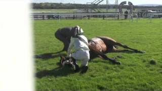 Racing horse death by accident in Galway [upl. by Theone863]