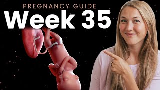 35 Weeks Pregnant  Week By Week Pregnancy [upl. by Halland631]