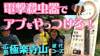 【ラケット型電撃殺虫器】のすごい破壊力！極楽寺山のアブさん達、覚悟しなさい！「極楽寺山 屋代コース」2024721 [upl. by Krever]