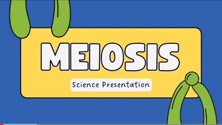 Stages of meiosisigcse biology and A levels [upl. by Towers]