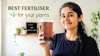 Best Fertiliser for Plants at Home [upl. by Ahsinuq812]