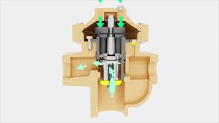 BD6  Back Pressure DomeLoaded Regulator [upl. by Mlawsky281]