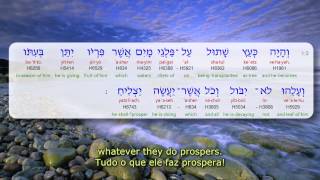 Salmo 1  Psalm 1  Tehilim 1  by Vagner J Souza [upl. by Balthazar]