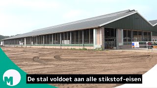 Toekomstbestendige koeienstal in Keldonk I Omroep Meierij [upl. by Ynnavoj105]