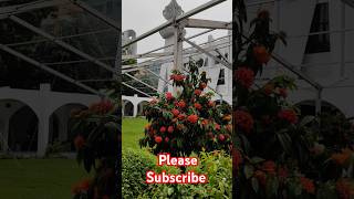 Some pictures shorts foryou dhaka gulshan subscribe [upl. by Odareg]