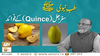 Tib e Nabvi SAWW  Benefits Of Quince  SafarJal Ke Fawaid  Hakeem Abdul Basit [upl. by Segal]