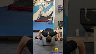 Dumbbell Pronated Row Isometric How To [upl. by Eila20]