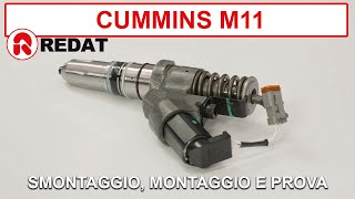 Cummins M11 injectors  Assembling disassembling and testing [upl. by Eniron723]