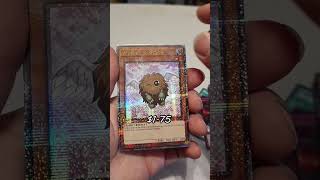 new yugioh tin part 1 yugioh yugiohtcg [upl. by Ojyllek]