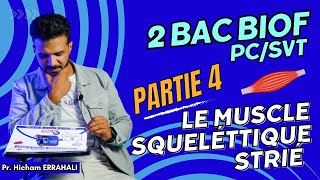 2 BAC BIOF Partie 4 LE MUSCLE SQUELETTIQUE STRIÉ [upl. by Rossy]