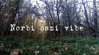 Norbi  ŐSZI VIBE Official Music video [upl. by Christie]