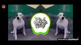 chillido de perro remix recopilacion de zickmusic [upl. by Clo]