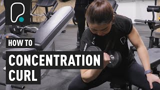 How To Do Concentration Curls [upl. by Adnirolc]