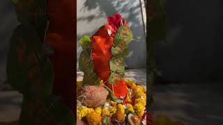 Hanuman ji beej mantra hanumanji viralshort viralreels [upl. by Robers]