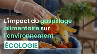 Limpact du gaspillage alimentaire sur l’environnement [upl. by Oigres]