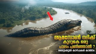 Journey to Amazon Bridge  ആമസോൺ നദിക്ക് കുറുകെ പാലം പണിയാത്തത് എന്ത്കൊണ്ട്  Secrets of Amazon [upl. by Octavian310]