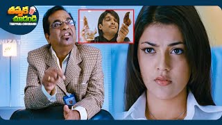 Allu Arjun And Kajal Aggarwal Telugu Full Comedy Scene 😂🤣 ThappakaChudandi9 [upl. by Htaras]