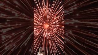 Amazing Great 12inch JAPAN GHOST displayed shell firework fireworksfestival 花火大会 pyro 花火 [upl. by Calise453]