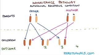 Understanding Autosomal Dominant and Autosomal Recessive Inheritance [upl. by Chute]