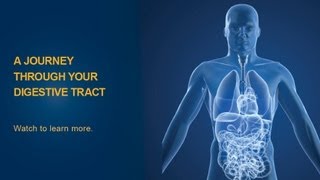 The Digestive Process  University of Michigan Health System [upl. by Thane]