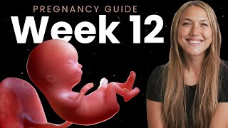 12 Weeks Pregnant  Week By Week Pregnancy [upl. by Inneg]