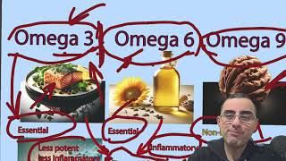 Omega3 vs Omega6 vs Omega9 Which is Best for Your Health [upl. by Erehpotsirhc808]