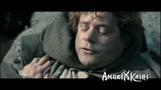 Frodo and Sam  What Hurts the Most [upl. by Legyn]